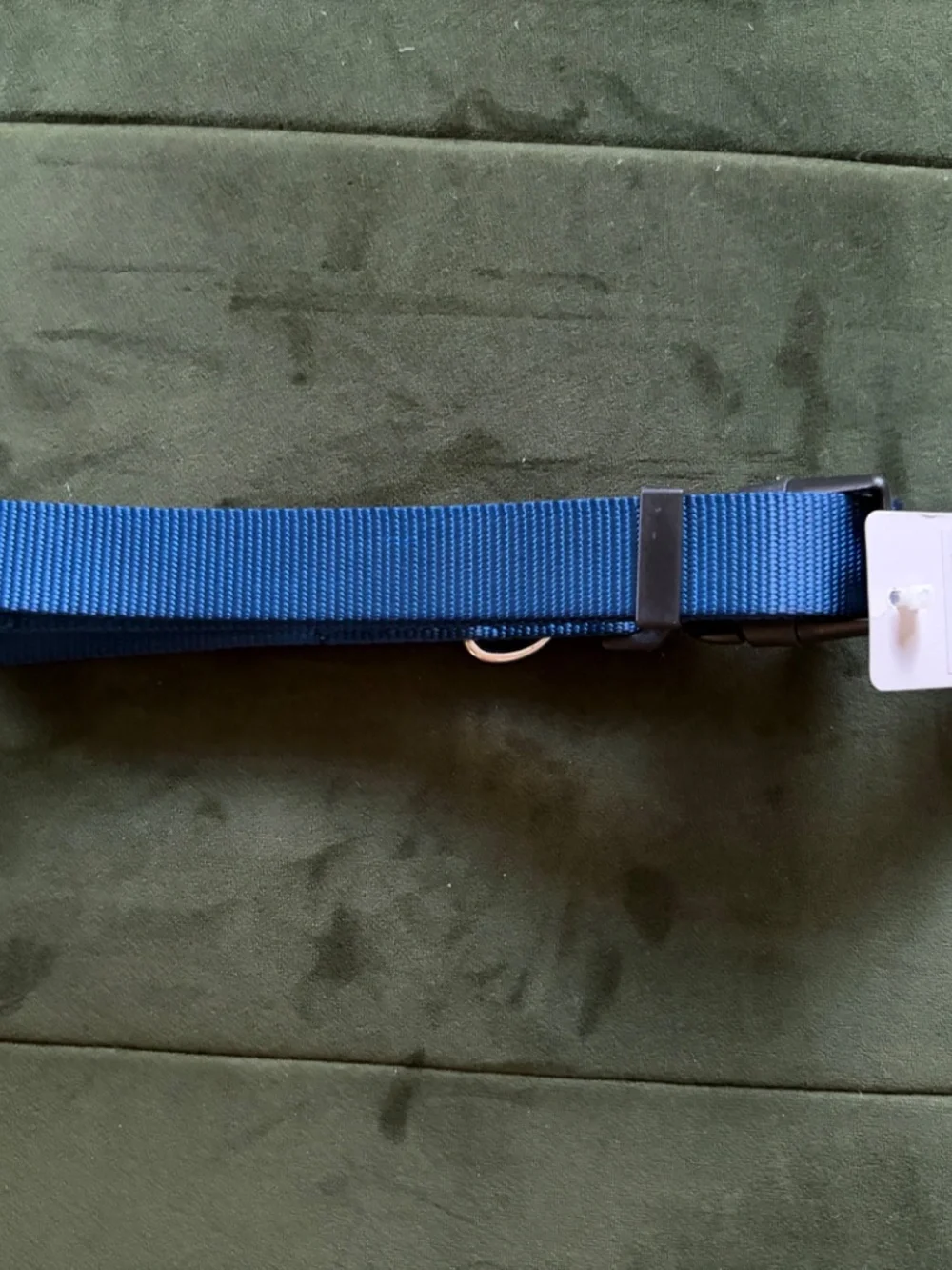 Dog Collar